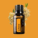 doTERRA Litsea- Faggyúfa Esszenciális Olaj 15 ml