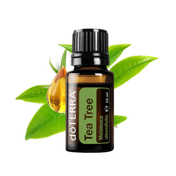 Indexkép: doTERRA Tea Tree- Teafa Esszenciális Olaj 15 ml