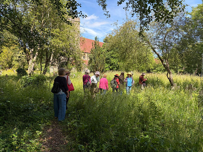 Looking at plants in churchyard.jpg