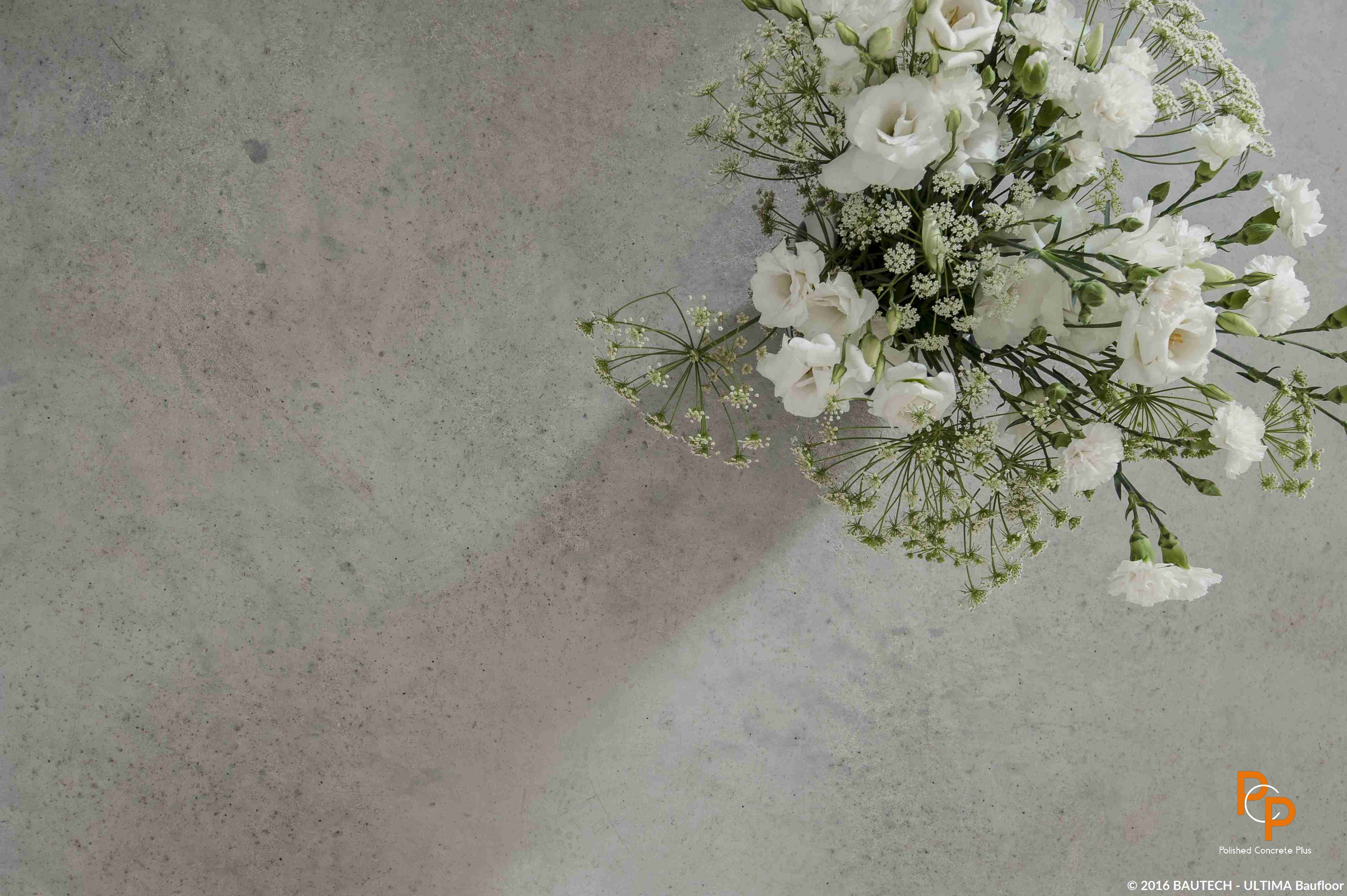 Polished concrete Floor