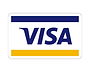 1490135017-visa_82256.png