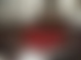 El tribunal constitucional debe interpretar el artículo 117