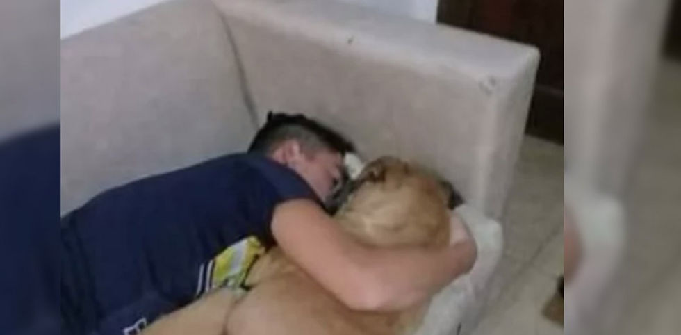Un perro murió en los brazos de su dueño por los fuegos artificiales