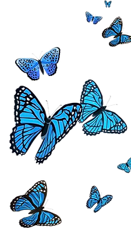 Krisallisbutterflies_edited_edited.png