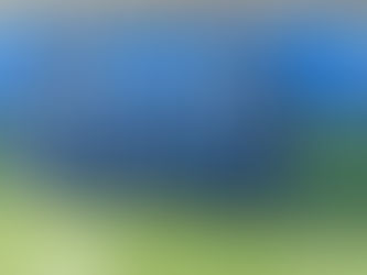 1st Year Boys Rugby Blitz - January '24