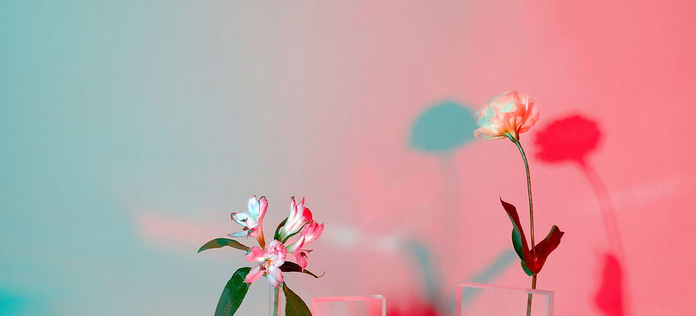 Flowers and Tranparency_edited.jpg