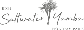 BIG4 Saltwater Logo