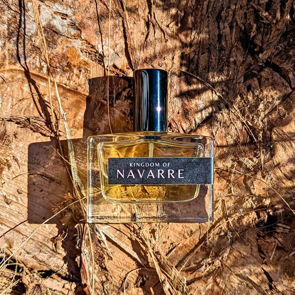 Thumbnail: KINGDOM OF NAVARRE
