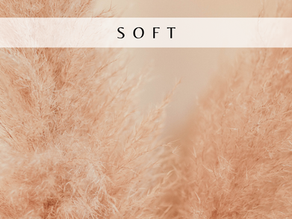 Describing Scents Made Simple: Essential Perfume Descriptors