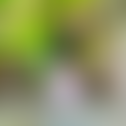 mini trio small batch high quality perfume