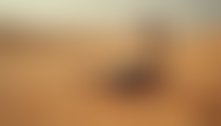 How Colt's Pest Defense Protects Marana Homes with Expert Pest Control Defense