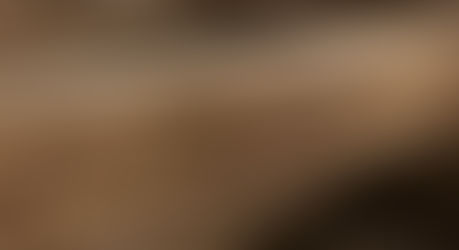 Understanding Termite Threats in Tucson