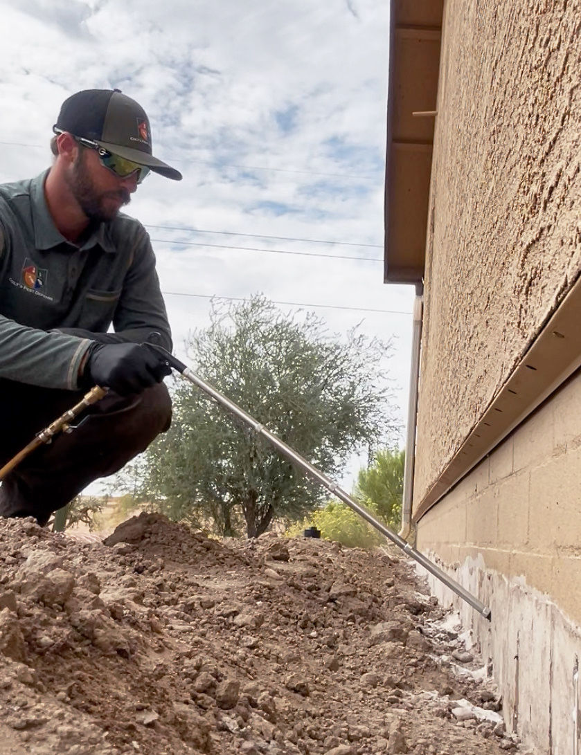 Eye-level view of termite inspection under wooden floor