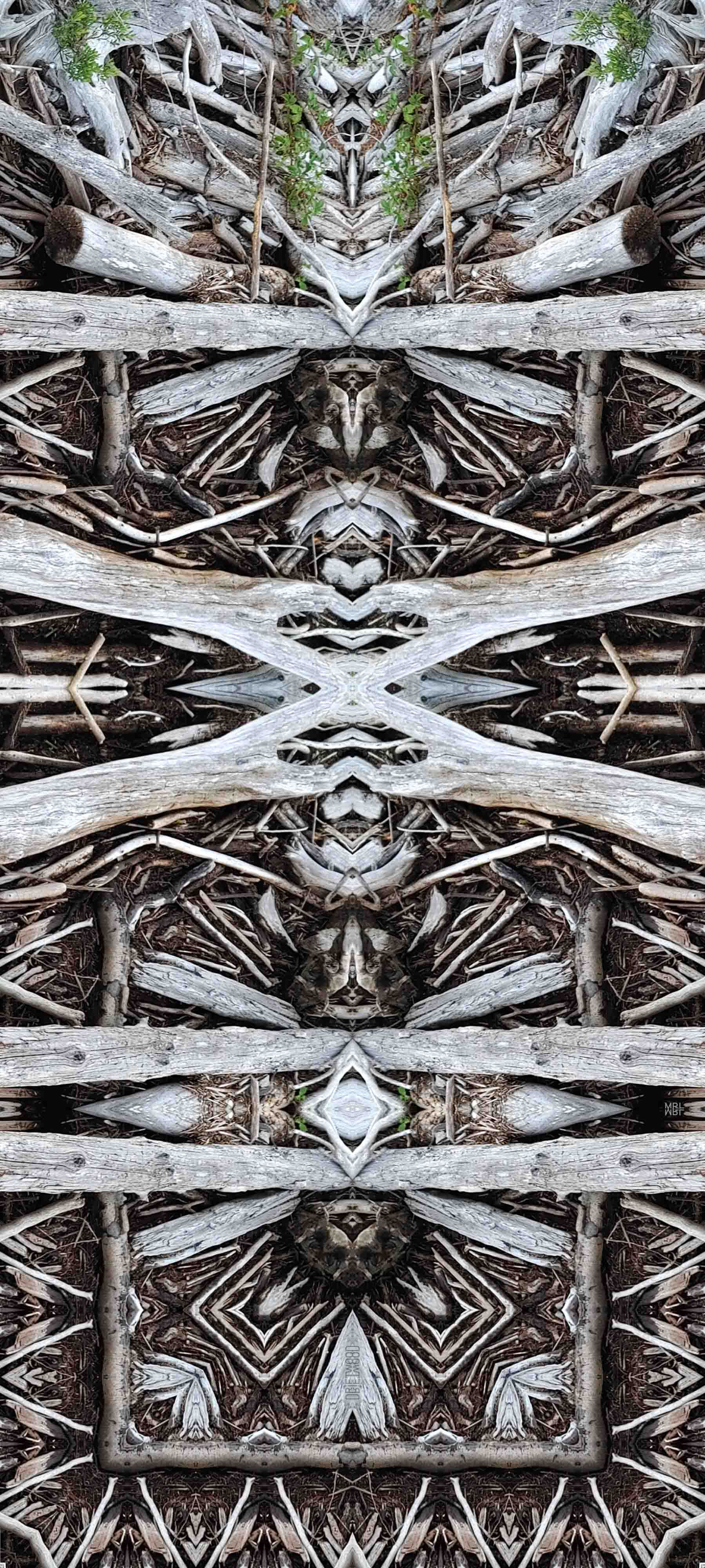 Kaleidoscopic jumble of driftwood mandala