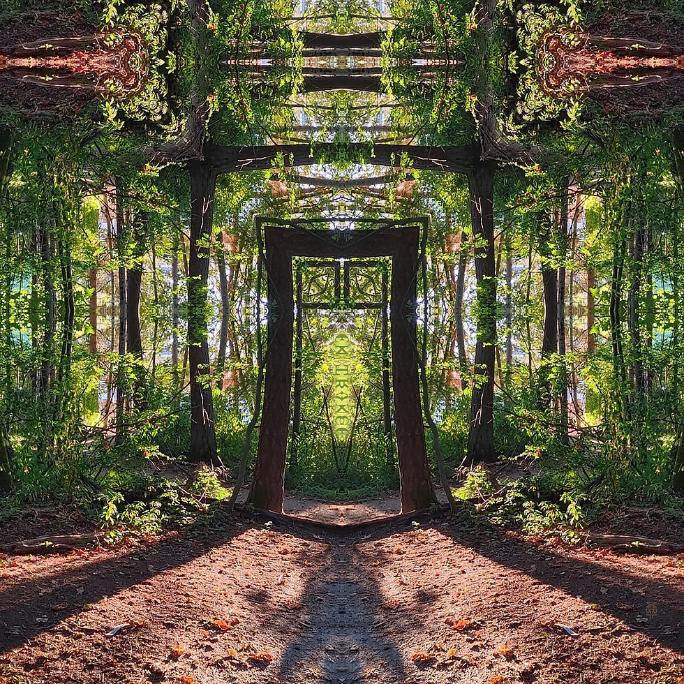 Kaleidoscopic glowing forest mandala