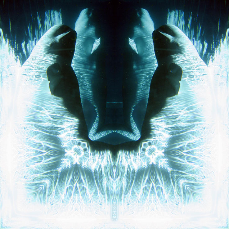 Cetaceans, beluga whales, black, teal, white mandala