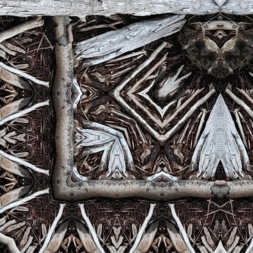 Thumbnail: Kaleidoscopic jumble of driftwood mandala -- detail