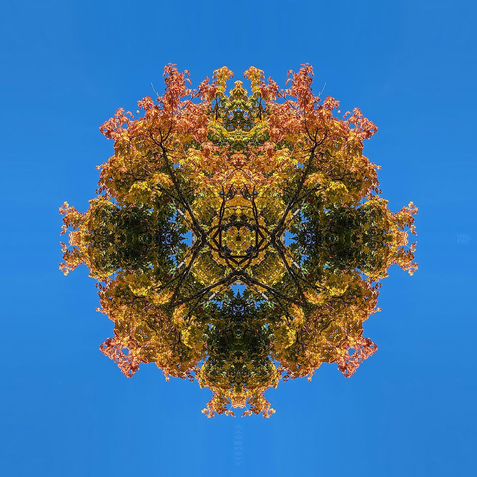 Kaleidoscopic autumn leaves mandala