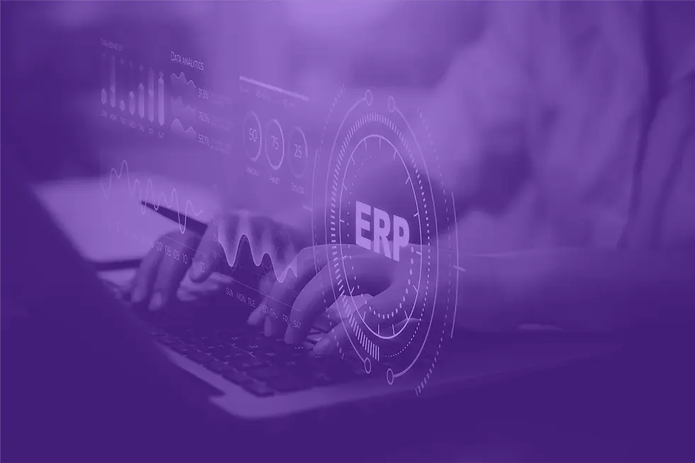 que-es-un-erp.webp