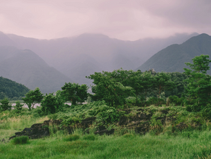 Những ngày mưa...