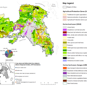 Ανακαλύψτε τον Περι-αστικό Αμπελώνα της Αθήνας: Ένα μείγμα ιστορίας, πολιτισμού και εξαιρετικών κρασιών