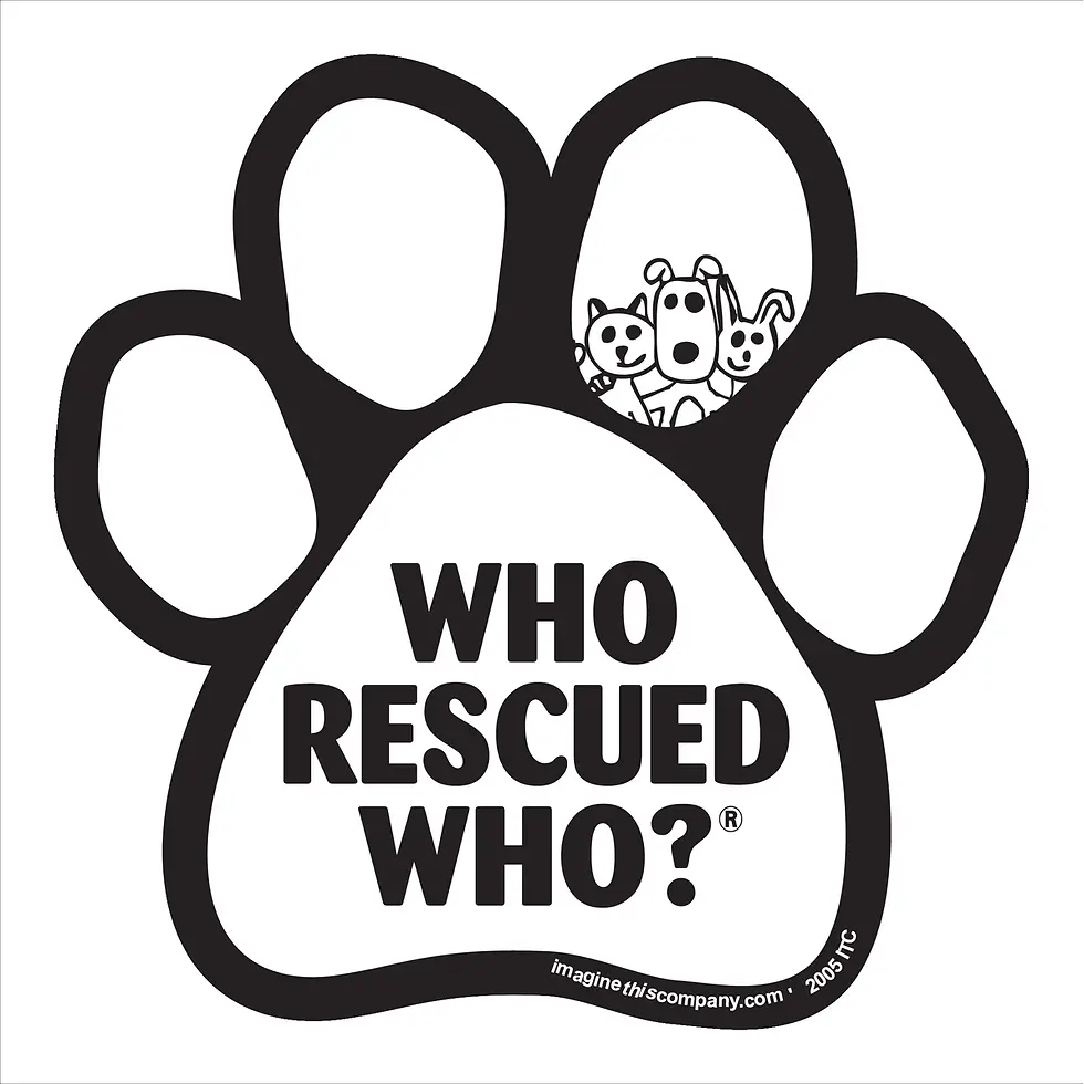 Thumbnail: Animal Lover Magnets