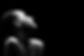 AdobeStock_189312506.jpeg