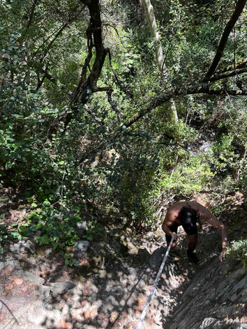 A topless guy is climbing with a rope on a mountain, into the forest