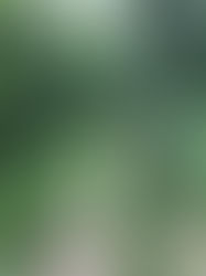 L'école du Foix participe à l'étoile Cyclo !