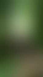 Les Ptites Randos : Jour 2 !