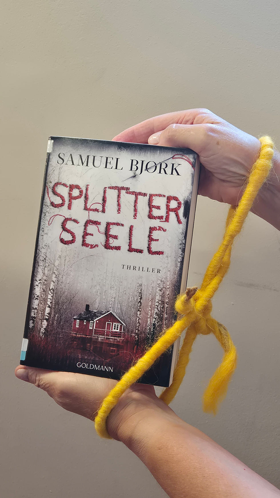 Unser Buch des Monats: Splitterseele