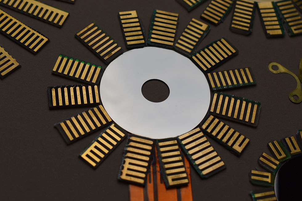 Thumbnail: Golden Fields of Five Golden Finger Flowers