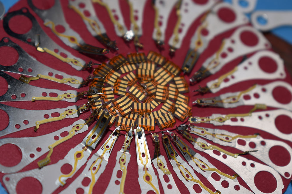 Thumbnail: Untitled flower 