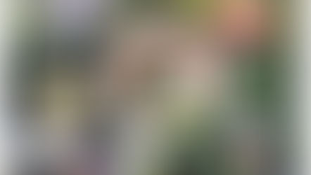 コーヒーの話し。