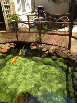 lago com deck