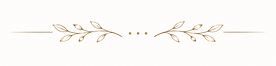 linedivider.png