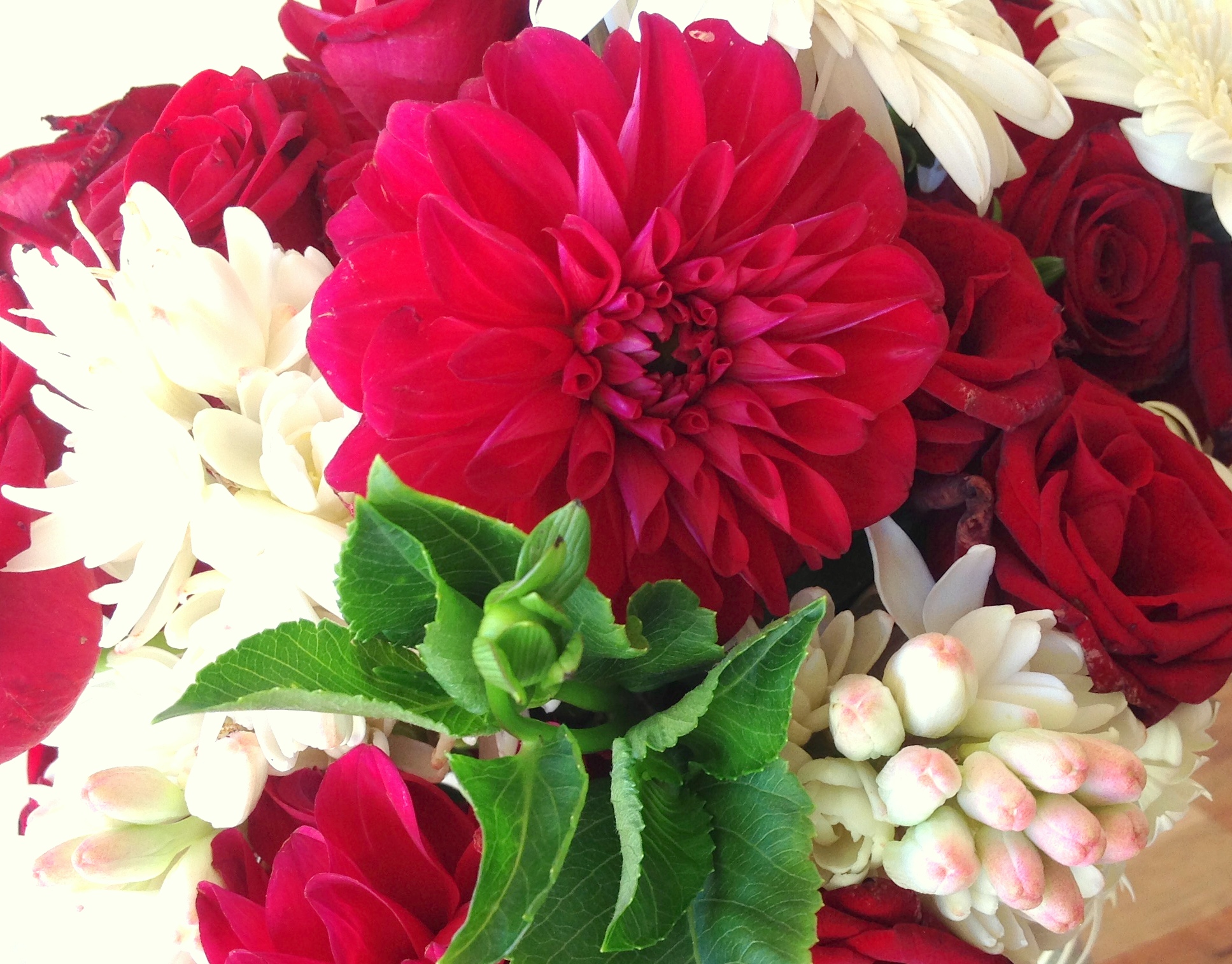 Wedding Flowers WollongongKiama Southern HighlandsBerry