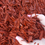 Thumbnail: Designer Red Dyed Mulch