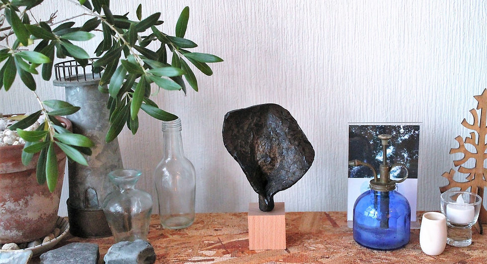 サムネイル： あっぱれ　Appare