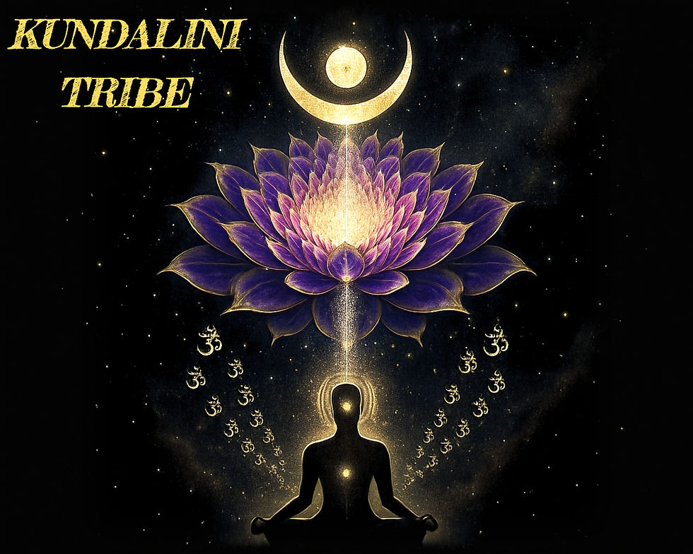 figura de sombra con aro de luz meditando sentada fondo estrellado y loto decorando con simbolos de om