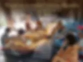 Formación de Activación Kundalini Akumal Mx
