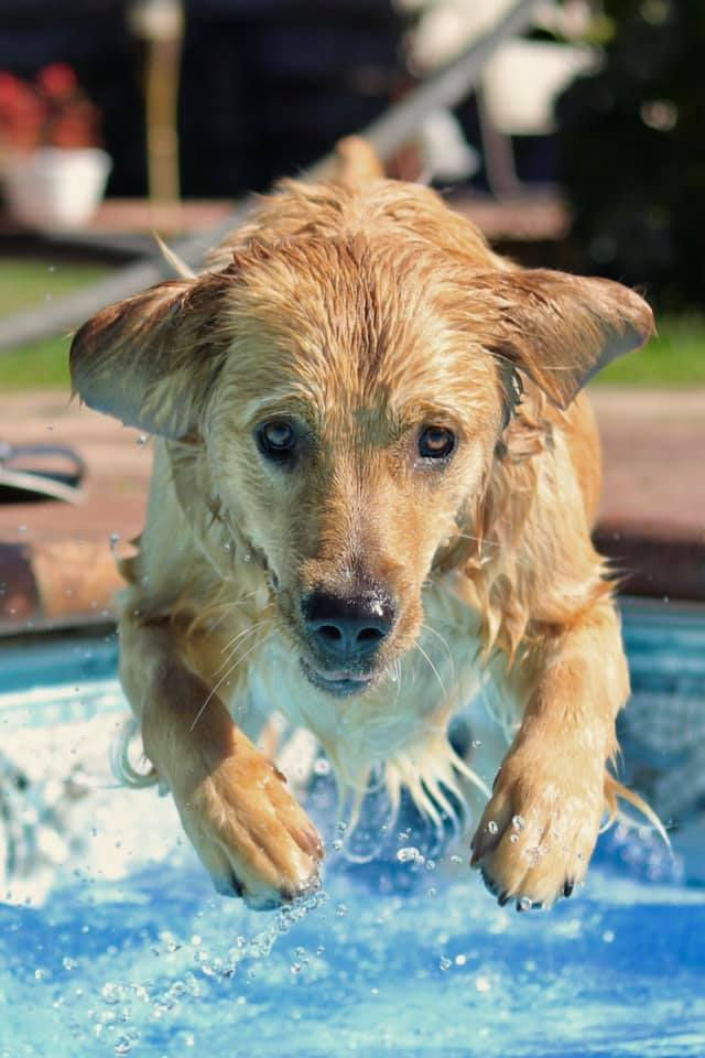 69761285_10219034281706437_4311976727996