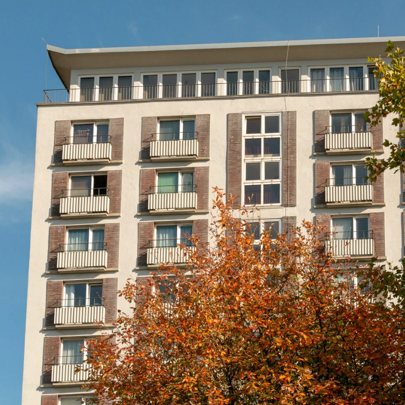 Screen Shot 2025-09-01 at 9.55.10 PM.png