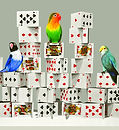 CARD TOWER-BIRD_162.2 x 130.3cm oil on canvas 2014