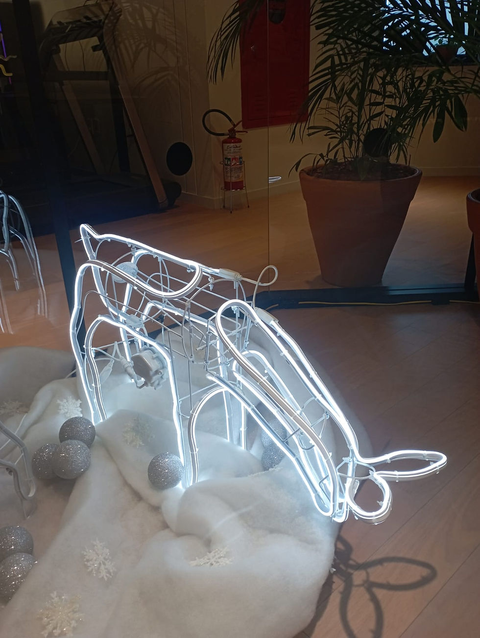 WhatsApp Image 2023-08-02 at 12.05.25