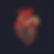 YesImTaco_anatomically_correct_heart_minimalist_logo_6cf2841f-d72c-4b69-b4e7-d66ba197e3aa.
