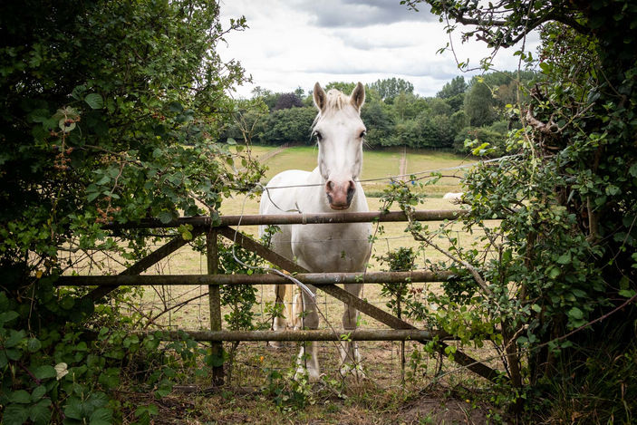 A Journey-LowRes-2.jpg