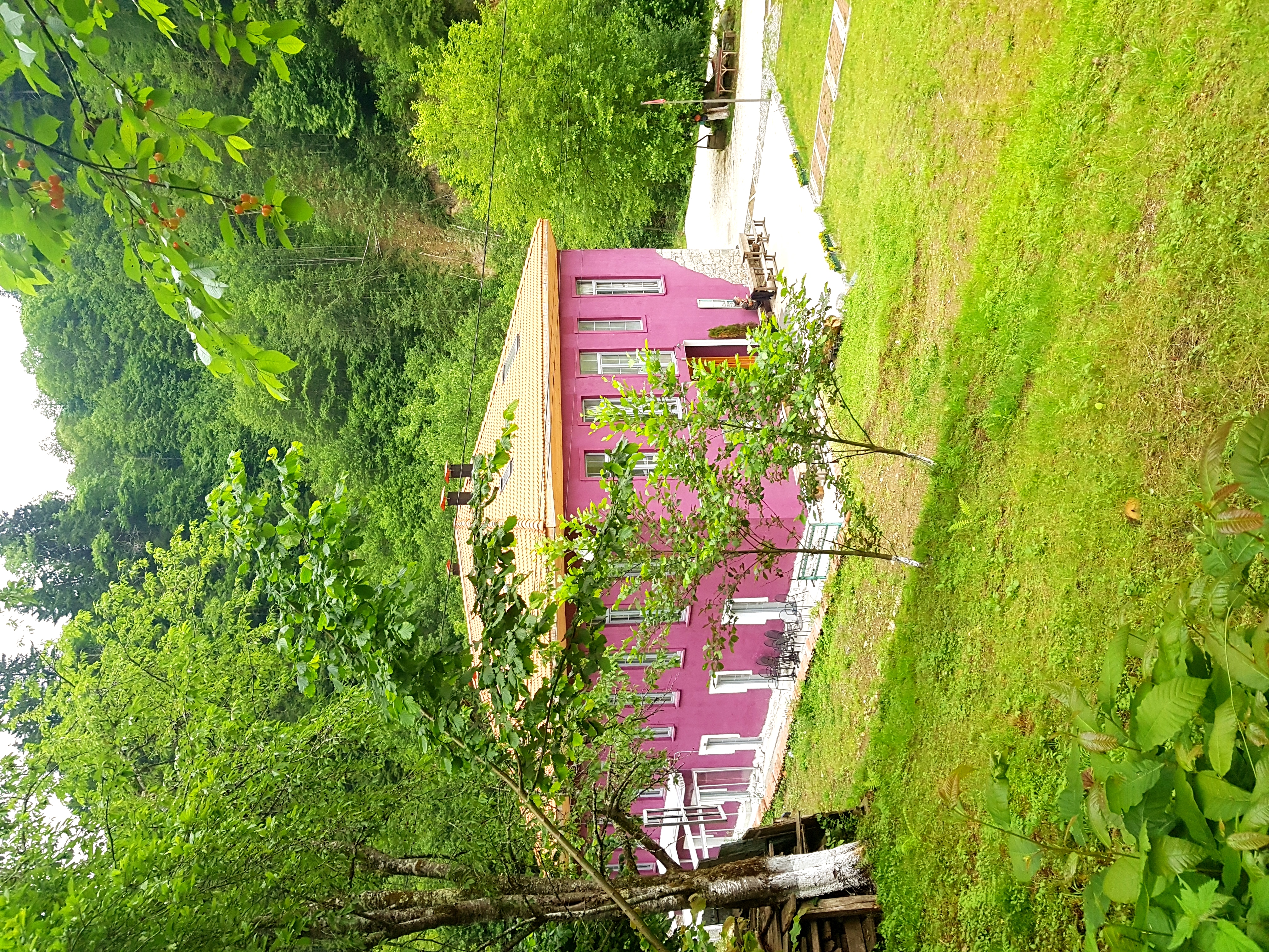 Bahçe