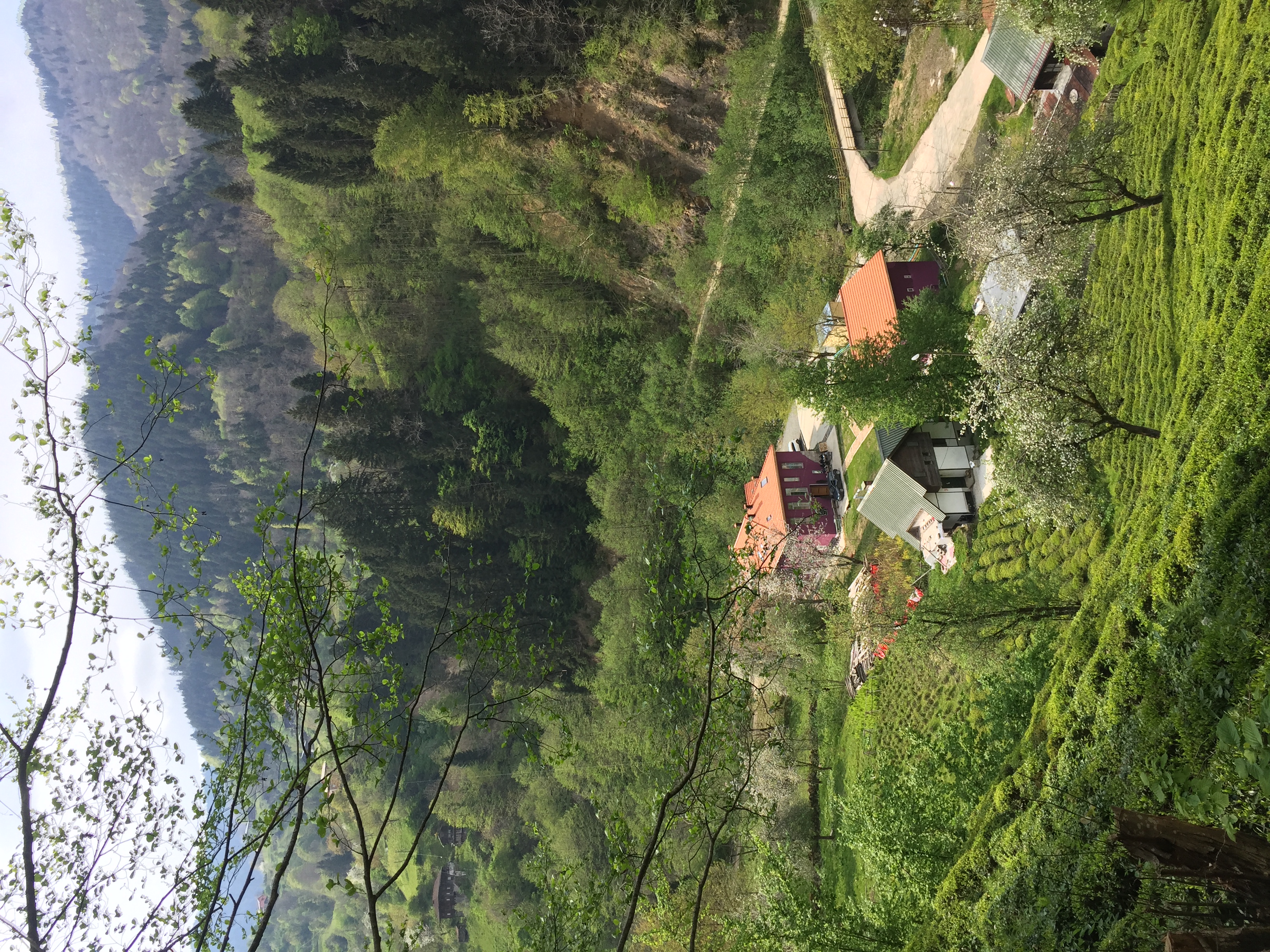 havadan görüntü