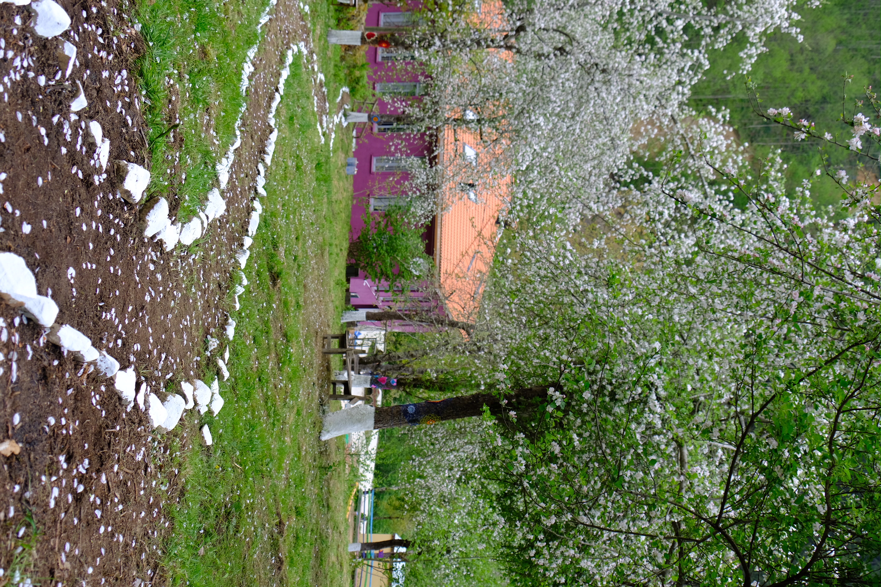 bahçe